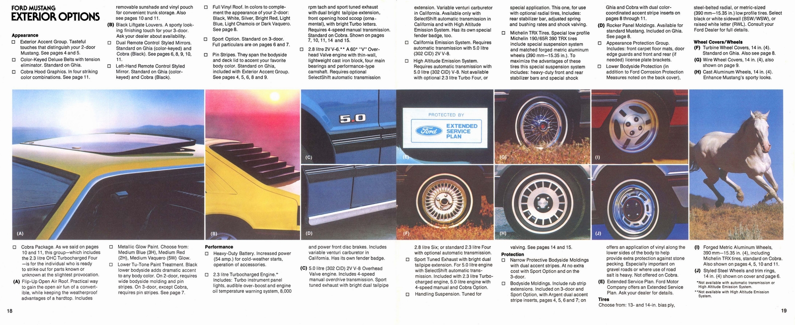 n_1979 Ford Mustang-18-19.jpg